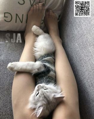 曼哈頓真人娛樂網(wǎng)站